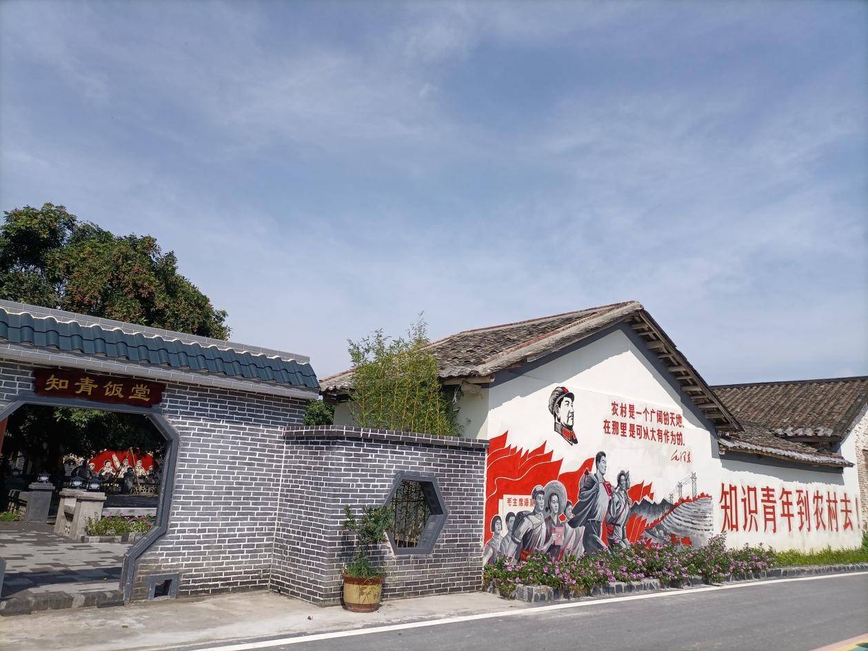《兵团》_兵团知乎_肉色兵团
