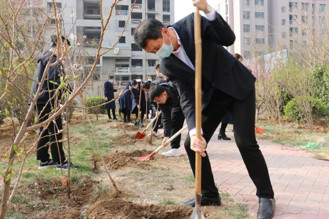 泥城2023年通地铁_2023年植树节_2023年接班人有谁