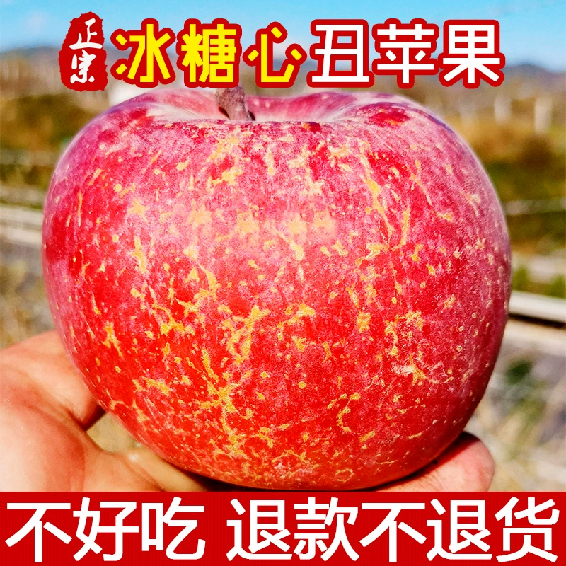 ios游戏退款申请_苹果游戏退款申请后要多久_苹果手机申请游戏退款