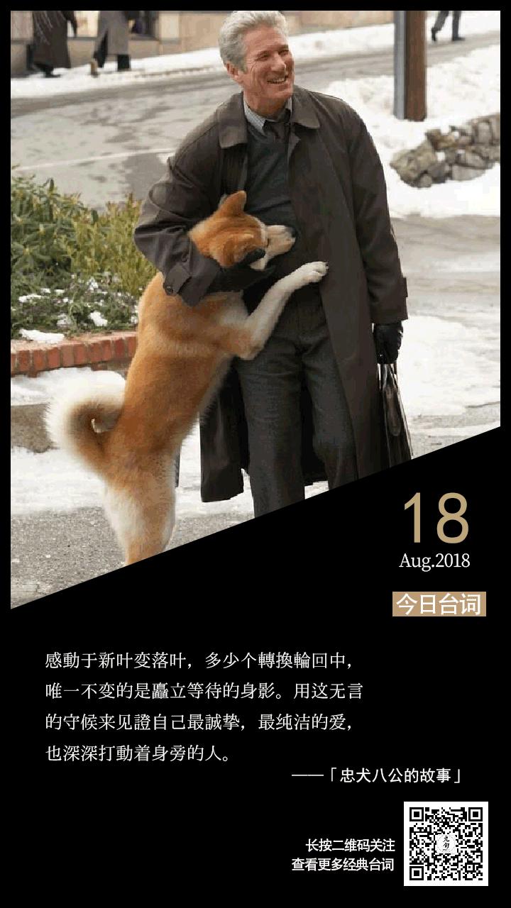 忠犬八公免费观看完整版_忠犬八公在线看_忠犬八公免费完整版