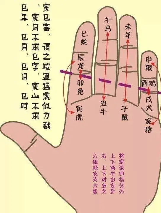 入门级的手机玩吃鸡游戏_能吃鸡的游戏机_早期吃鸡手游