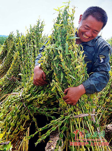 庚日生于各月十二时辰论命_庚日_庚日是什么意思啊