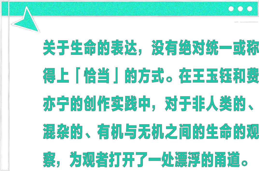 抹杀指名者除外谁的卡组_抹杀指名者表情包_抹杀之指名者