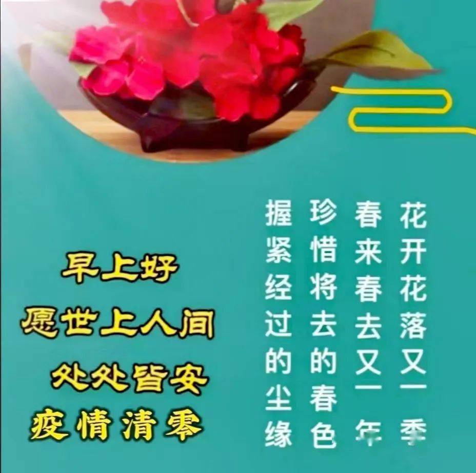 5月17日_11月12月是什么星座_月字旁的字