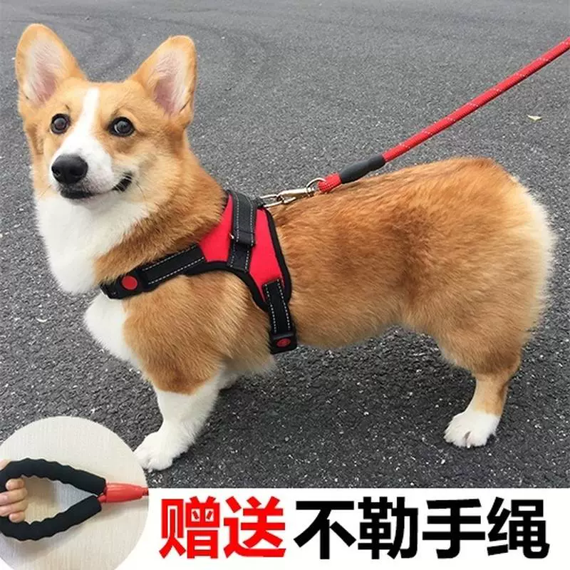 安卓绳子游戏_犬绳子游戏手机_绳子游戏叫什么