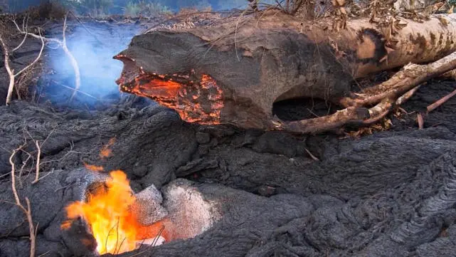 熔岩龙_熔岩龙的特上鳍怎么出_熔岩龙在哪