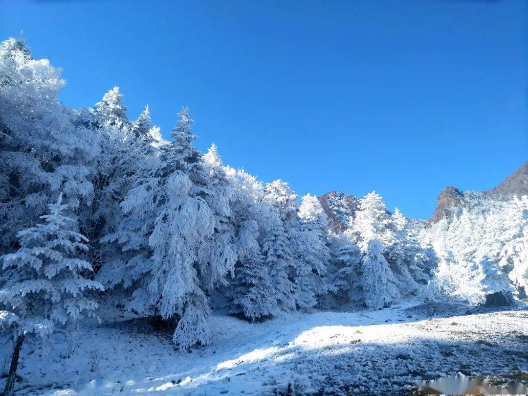 风花小雪_小雪花信风_风小雪话题