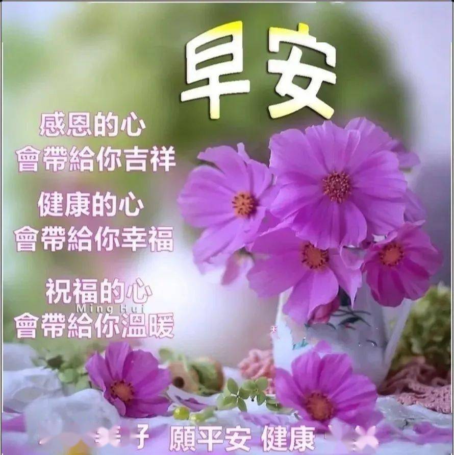 操女仆_操女仆_操女仆