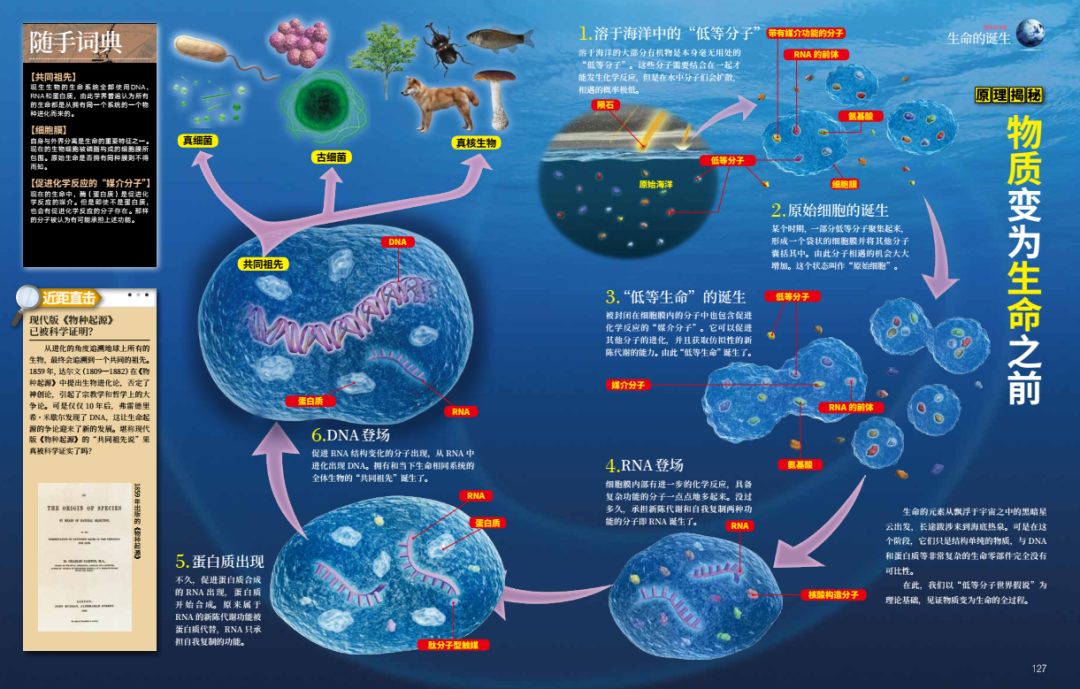 地球三大生态系统_地球生态系统可分为哪三类_地球生态系统由什么构成