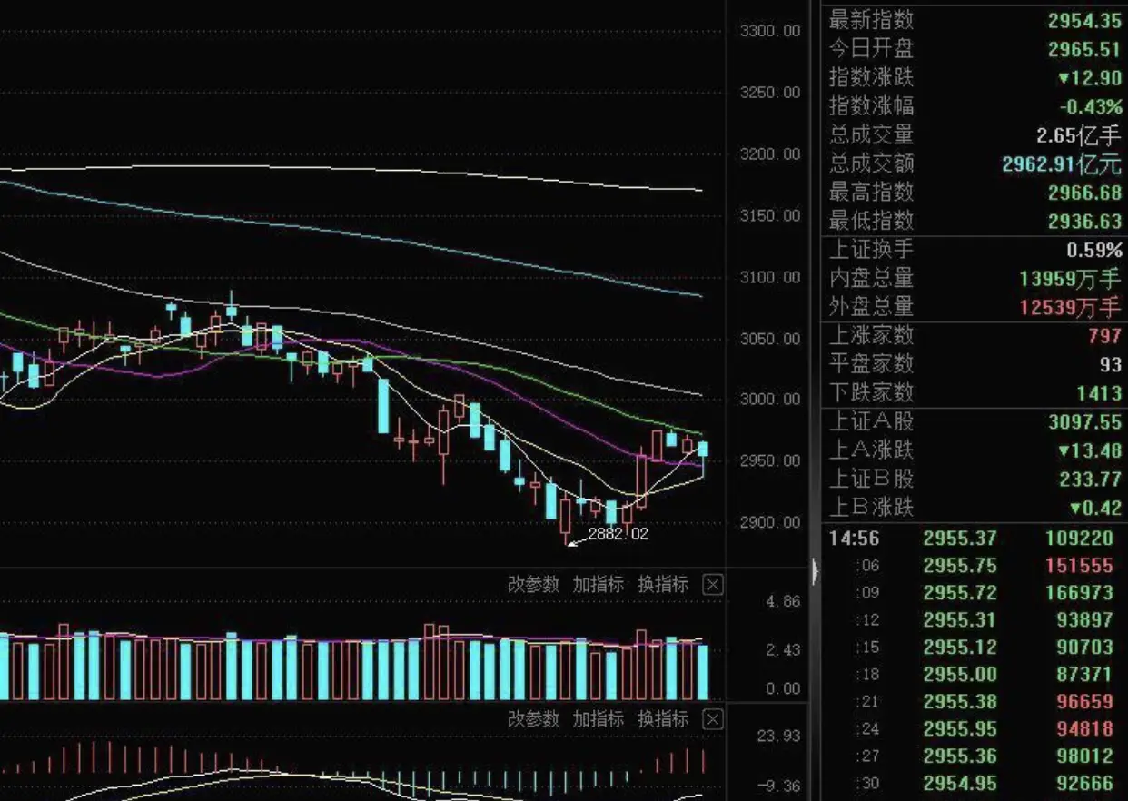 2022年是什么生肖年_生肖年是什么意思_生肖年是农历还是阳历