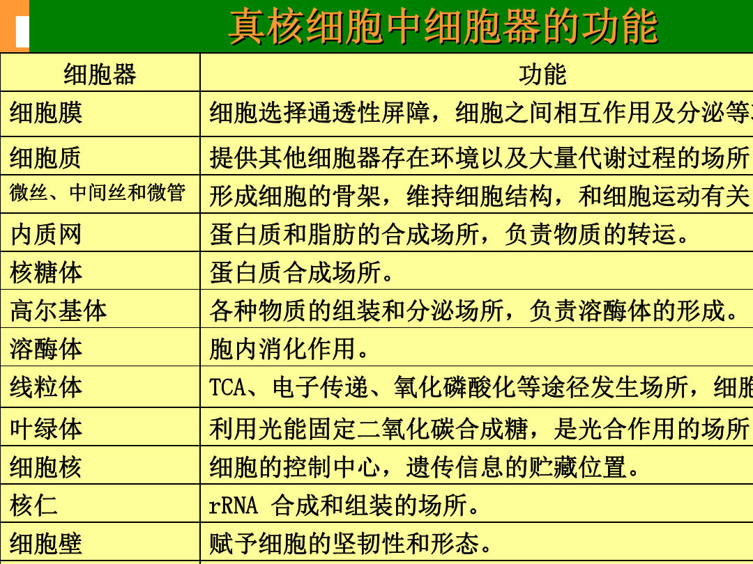 导出文档类型怎么选择_java导出word文档_导出文档是什么意思