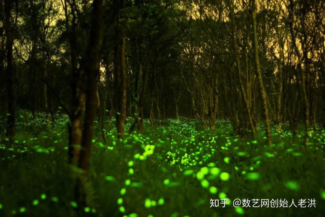 塞雷娅_塞雷娅_塞雷娅