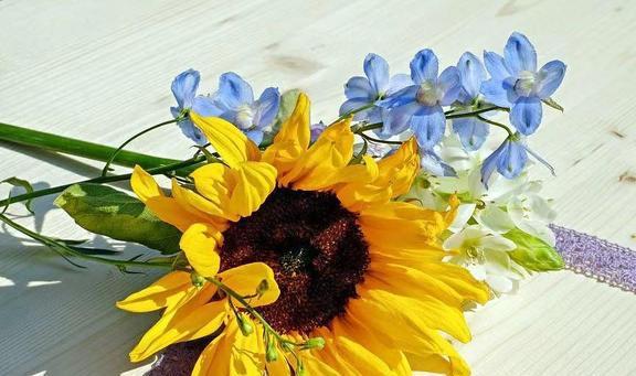 测绘手机游戏推荐_测绘手机游戏有哪些_手机测绘游戏