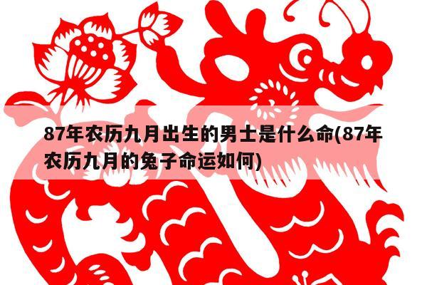 1987农历阳历表查询器_1987年农历阳历表_日历查询1987年农历表