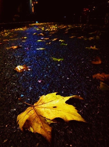 秋雨凉心_一场秋雨一场凉_秋雨凉爽的唯美句子