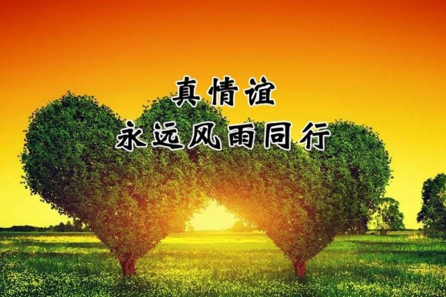 初一十月一放几天假_初一十月下雨200字日记_十月初一