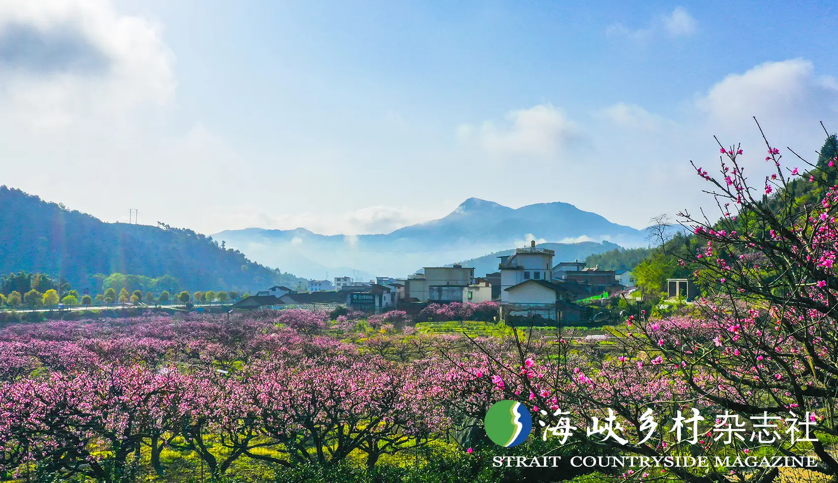 肥城桃花节哪天开幕_肥城市桃花节每年日期_肥城桃花节