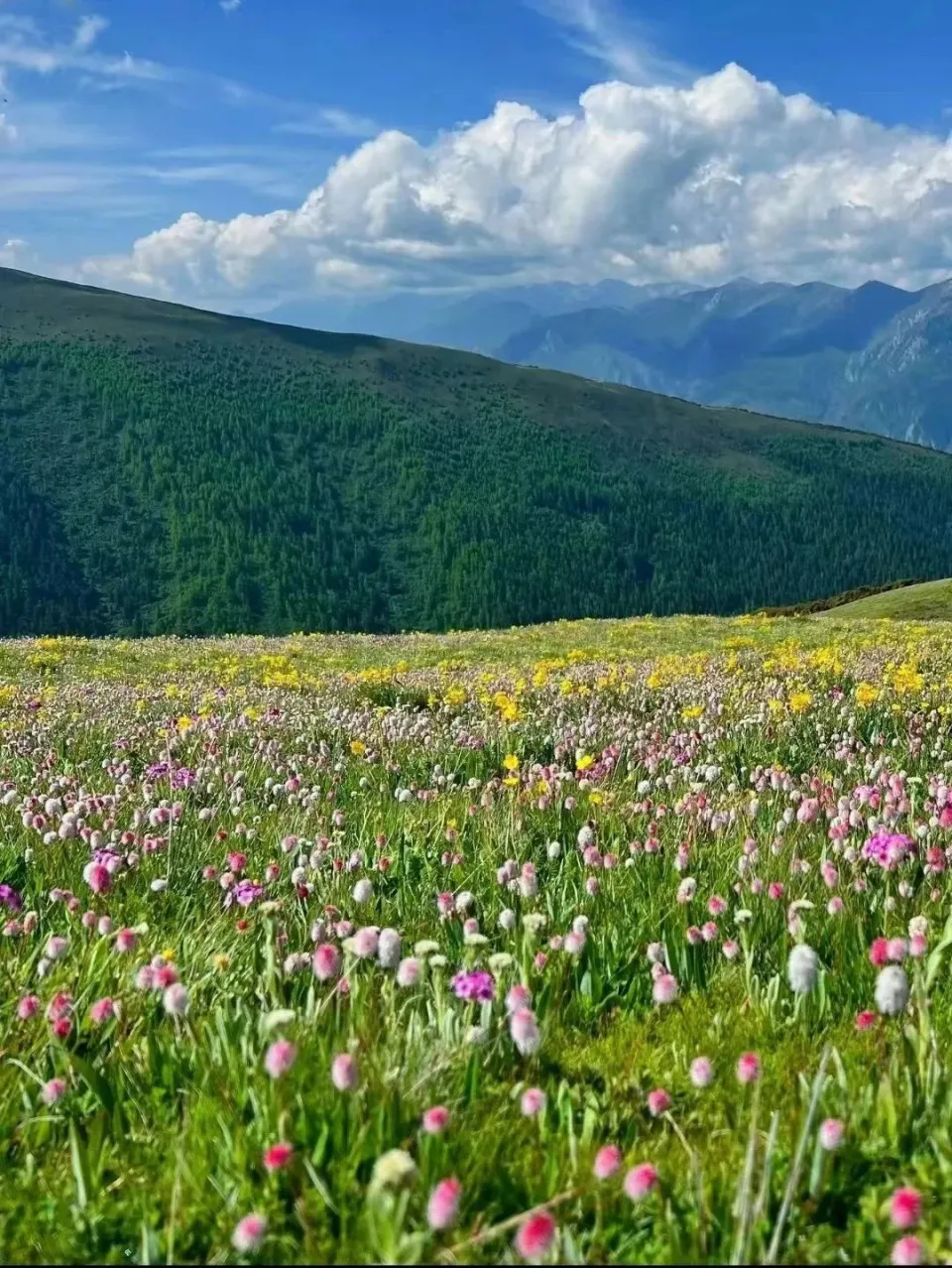 苹果手机游戏色彩怎么调_苹果手机调色游戏_苹果调色手机游戏推荐