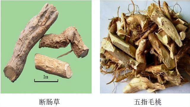 有难度的数学游戏_难数学手机游戏推荐_手机超难数学游戏