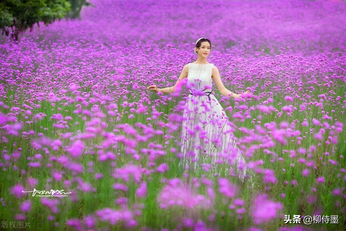 三十岁美女头像大全_头像大全美女头像_头像大全美女图片