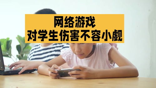 沉迷学游戏,探索学习与娱乐的边界