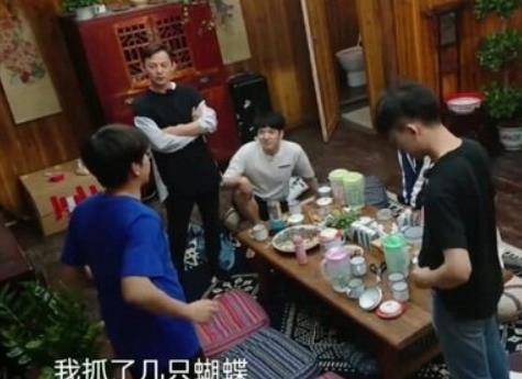 蝴蝶生长游戏,探索自然生长的奇妙游戏