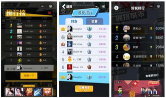 小游戏人数,探索不同规模小游戏的魅力