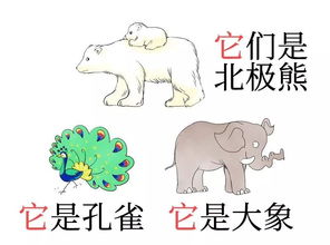 幼儿代词游戏,语言发展的趣味启蒙之旅