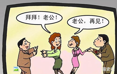 换配偶游戏,一场颠覆传统婚姻观念的奇幻之旅