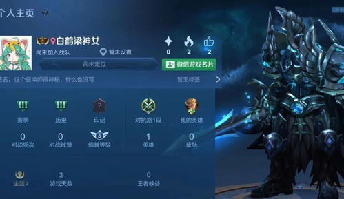 游戏id大病,逆境中的英雄之旅