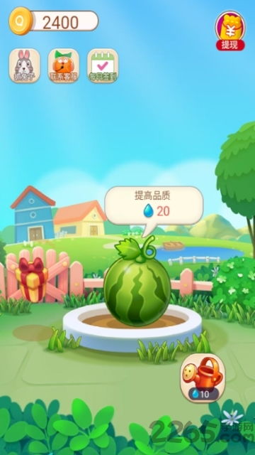 趣种菜游戏,收获快乐果实
