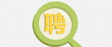 成都游戏专员,解码游戏产业新势力