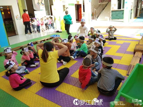 回家幼儿游戏,欢乐与成长的交织