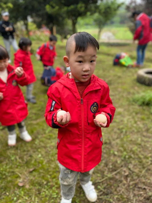 咕噜鸡游戏,挑战无限的欢乐冒险之旅