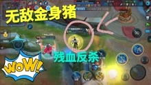 游戏解说酱,畅游虚拟人生