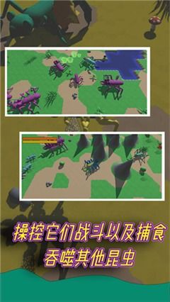 昆虫运动游戏,趣味盎然的运动游戏之旅