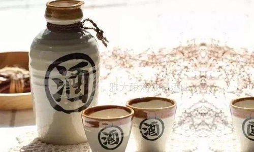酒汉游戏,尽享欢乐时光