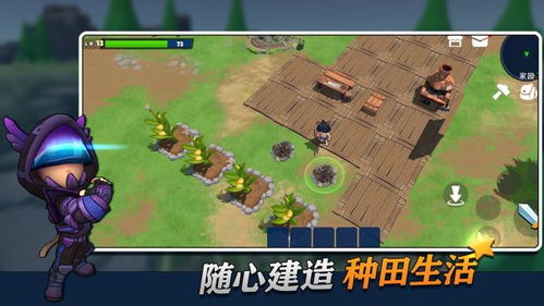 采石盒游戏,探索神秘宝石世界的冒险之旅