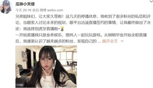 婉妹游戏,开启冒险之旅
