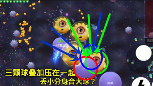 游戏解说耳蜗,揭秘游戏解说背后的听觉奥秘