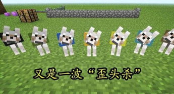 mc狗游戏,探索无尽创造与冒险的虚拟世界