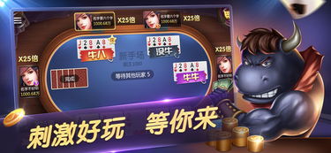 真斗牛游戏,技巧与运气的完美结合
