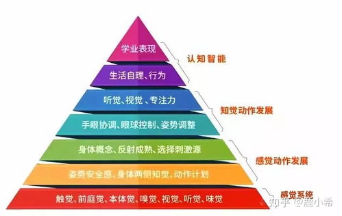 前庭觉得游戏,沉浸式游戏体验之旅