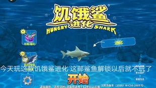 特爽的游戏,尽享极致冒险之旅